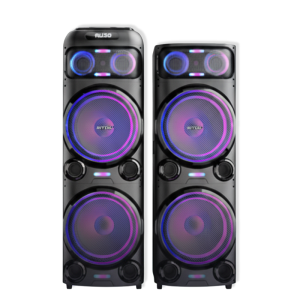 Speaker Active& Passive-2x300w (15"X2) - H137
