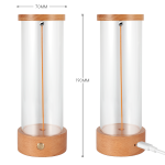 Quantum Magnetic LED Night Light