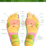 Kinoki Cleansing Ginger Salt Detox Foot Pads (10 Pcs Per Box)