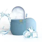 Cooling Silicone Facial Ice Globes – Contour & Lift Roller
