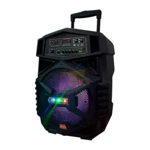 Professional Trolly Speaker 15″